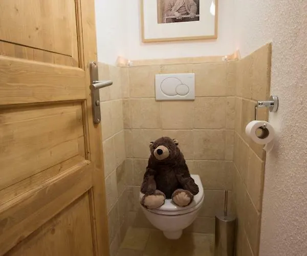 - Cosy Duplex Avec Vue Silveralp 218 瓦托伦斯